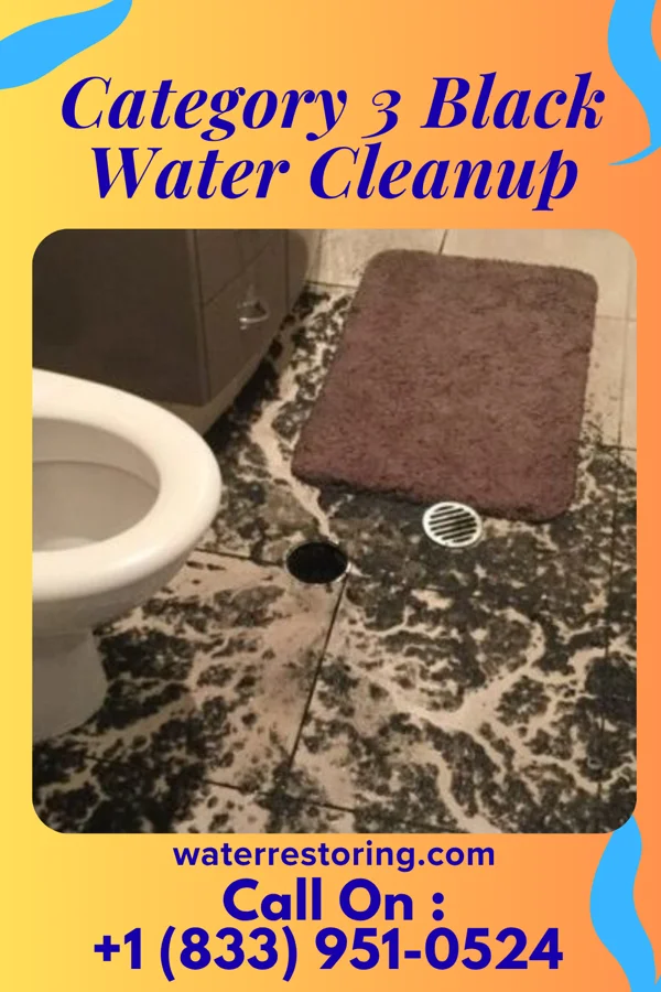 Category 3 Black Water Cleanup in Medicine Lake, MN