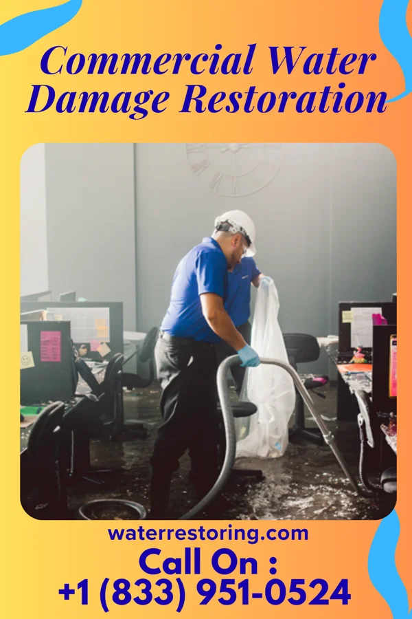 Commercial Water Damage Restoration in Medicine Lake, MN