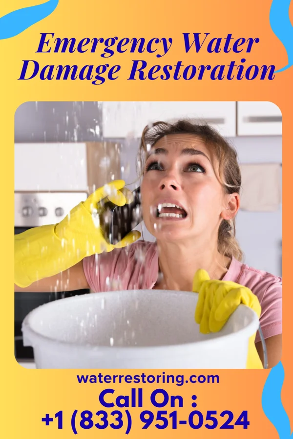 Emergency Water Damage Restoration in Medicine Lake, MN